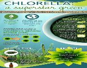chlorella broken cell wall 500 mg bilinamurato swanson chlorella puritan, -- Nutrition & Food Supplement -- Metro Manila, Philippines