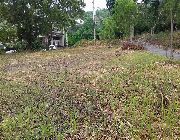 472sqm Residential Lot For Sale in Vista Grande Talisay City -- Land -- Talisay, Philippines