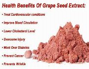 grapeseed extract bilinamurato puritan grape seed extract 100 mg 50mg, -- Nutrition & Food Supplement -- Metro Manila, Philippines