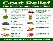 uric acid gout agaricus billinamurato swanson cherry turmeric milk thistle, -- Nutrition & Food Supplement -- Metro Manila, Philippines