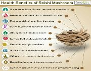 reishi mushroom bilinamurato swanson dxn ganoderma reishi, -- Natural & Herbal Medicine -- Metro Manila, Philippines