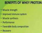WHEY PROTEIN ISOLATE bilinamurato Unflavored piping rock -- Nutrition & Food Supplement -- Metro Manila, Philippines