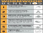 artemisinin bilinamurato wormwood swanson, wormwood -- Nutrition & Food Supplement -- Metro Manila, Philippines