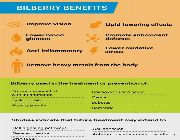 bilberry bilinamurato bilberry fruit extract puritan -- Nutrition & Food Supplement -- Metro Manila, Philippines