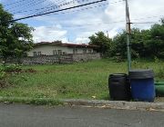 Bargain Lot in Imus Cavite -- Land -- Bacoor, Philippines