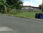 Bargain Lot in Imus Cavite -- Land -- Bacoor, Philippines