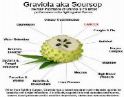 graviola bilinamurato guyabano soursop swanson anti cancer, -- Nutrition & Food Supplement -- Metro Manila, Philippines