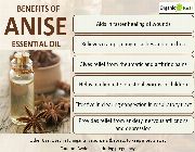 ANISE OIL 100% Pure Anise  Essential Oil bilinamurato piping rock -- All Health and Beauty -- Metro Manila, Philippines
