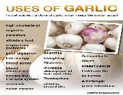 garlic capsule -- Natural & Herbal Medicine -- Bacoor, Philippines