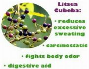 MAY CHANG OIL bilinamurato piping rock litsea cubeba 100% Pure May Chang Essential Oil -- All Health and Beauty -- Metro Manila, Philippines