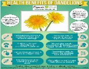 dandelion root bilinamurato swanson dandelion root, melanoma, -- Nutrition & Food Supplement -- Metro Manila, Philippines