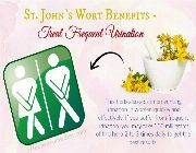 St. Johns Wort bilinamurato St. John's Wort swanson hypericin -- Nutrition & Food Supplement -- Metro Manila, Philippines