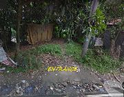 11.63M 3,754sqm Residential Lot for Sale in Busay Cebu City -- Land -- Cebu City, Philippines