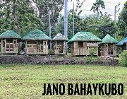 grass, frog grass, carabao grass, garden soil, bahay kubo, kawayan for sale -- Agriculture & Forestry -- Laguna, Philippines