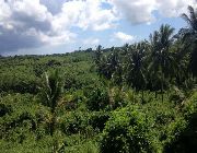 Agricultural Land for sale 17,970 hectares -- Land & Farm -- Camarines Sur, Philippines