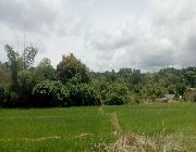 lot for sale, comercial. industrial,land/ Farm -- Land -- Zambales, Philippines