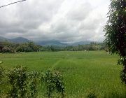 lot for sale, comercial. industrial,land/ Farm -- Land -- Zambales, Philippines