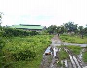 1 Hectare Industrial Lot for Sale in Linao Talisay City Cebu -- Land -- Talisay, Philippines