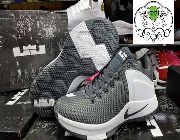 Nike Lebron Witness Men's Basketball Shoes -- Shoes & Footwear -- Metro Manila, Philippines