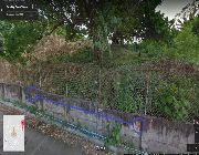 6.32M 316sqm Vacant Lot For Sale in Guadalupe Cebu City -- Land -- Cebu City, Philippines
