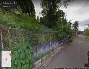 6.32M 316sqm Vacant Lot For Sale in Guadalupe Cebu City -- Land -- Cebu City, Philippines