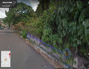 6.32M 316sqm Vacant Lot For Sale in Guadalupe Cebu City -- Land -- Cebu City, Philippines