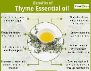 Thyme red thymus vulgaris, essential oil, bilinamurato piping rock -- Natural & Herbal Medicine -- Metro Manila, Philippines