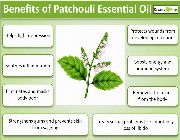 Patchouli Oil pogostemon cablin, essential oil bilinamurato piping rock -- Natural & Herbal Medicine -- Metro Manila, Philippines