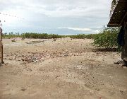 house and lot, beach, fully furnished, concrete house, olango, cebu, -- Beach & Resort -- Lapu-Lapu, Philippines
