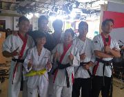 AIKIDO, TAEKWONDO -- Self Defense Classes -- Metro Manila, Philippines
