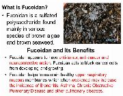 fucoidan brown seaweed extract bilinamurato fucoidan swanson fucothin laminaria japonica -- Nutrition & Food Supplement -- Metro Manila, Philippines