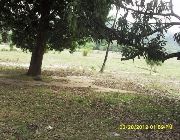 SUBIC lot for sale OLONGAPO lot for sale -- Land & Farm -- Zambales, Philippines