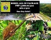 BOHOL TOUR PACKAGE -- Other Services -- Pasay, Philippines