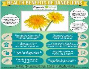 dandelion root bilinamurato cut sifted tea organic dandelion, -- Natural & Herbal Medicine -- Metro Manila, Philippines