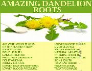 dandelion root bilinamurato cut sifted tea organic dandelion, -- Natural & Herbal Medicine -- Metro Manila, Philippines
