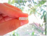 Natural Diamond, Diamond Ring, White Yellow Gold, Two Tone Ring -- Jewelry -- Pampanga, Philippines
