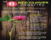 red clover bilinamurato dandelion echinacea licorice swanson ye, -- Natural & Herbal Medicine -- Metro Manila, Philippines