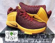 Men's Nike LeBron Zoom Witness Basketball Shoes -- Shoes & Footwear -- Metro Manila, Philippines