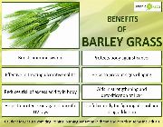 barley grass bilinamurato swanson green barley grass -- Nutrition & Food Supplement -- Metro Manila, Philippines