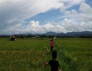 ricefield, palayan, farm, land, lot, business -- Land & Farm -- Rizal, Philippines