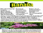 banaba glucohelp bilinamurato diabetes diabetwatch corosolic acid swanson -- Natural & Herbal Medicine -- Metro Manila, Philippines