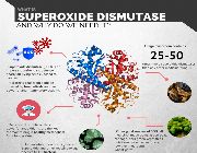 SOD Superoxide Dismutase S.O.D. bilinamurato piping rock -- Natural & Herbal Medicine -- Metro Manila, Philippines