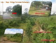 Lot for Sale -- Other Business Opportunities -- Tanauan, Philippines