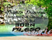 El Nido,Palawan,Transportation,Cheap,Low budget,Transfer -- Travel Agencies -- Puerto Princesa, Philippines