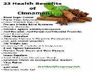 CINSULIN Cinnamon Extract Chromium  Vitamin D3 bilinamurato TruNature diabetes blood sugar -- Nutrition & Food Supplement -- Metro Manila, Philippines
