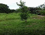 Lot Only, Farm Lot in Batangas, Piggery for Sale, Hectare Land in Batangas, Investment , Real estate investment in Batangas, OFW Investment, Retirement Plans, Property for Sale in Batangas -- Land & Farm -- Batangas City, Philippines