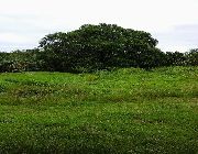 Lot Only, Farm Lot in Batangas, Piggery for Sale, Hectare Land in Batangas, Investment , Real estate investment in Batangas, OFW Investment, Retirement Plans, Property for Sale in Batangas -- Land & Farm -- Batangas City, Philippines