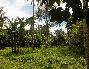 FOR SALE: FARM LOT ALFONSO CAVITE -- Land & Farm -- Bacoor, Philippines