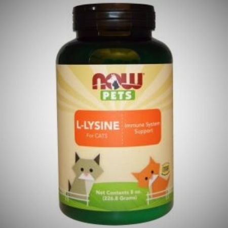 Now Foods, Now Pets, L-Lysine for Cats, 8 oz (226.8 g) -- Nutrition & Food Supplement Metro Manila, Philippines