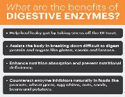 DIGESTIVE ENZYMES Super Strength Multi-Enzyme bilinamurato puritan proteolytic enzymes -- Nutrition & Food Supplement -- Metro Manila, Philippines